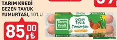 TARIM KREDİ GEZEN TAVUK YUMURTASI 10'LU TARIM KREDİ GEZEN TAVUK YUMURTASI 10'LU